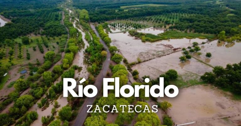 Rio Florido